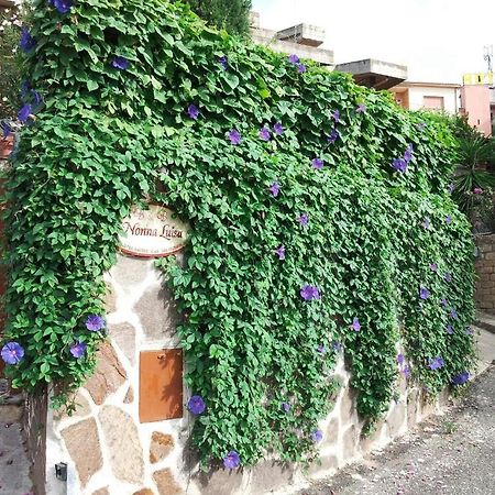 تاركوينيا B&B Nonna Luisa المظهر الخارجي الصورة