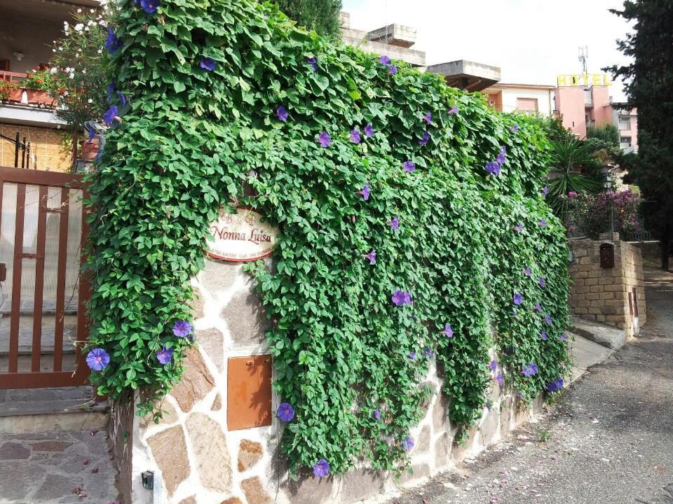 تاركوينيا B&B Nonna Luisa المظهر الخارجي الصورة