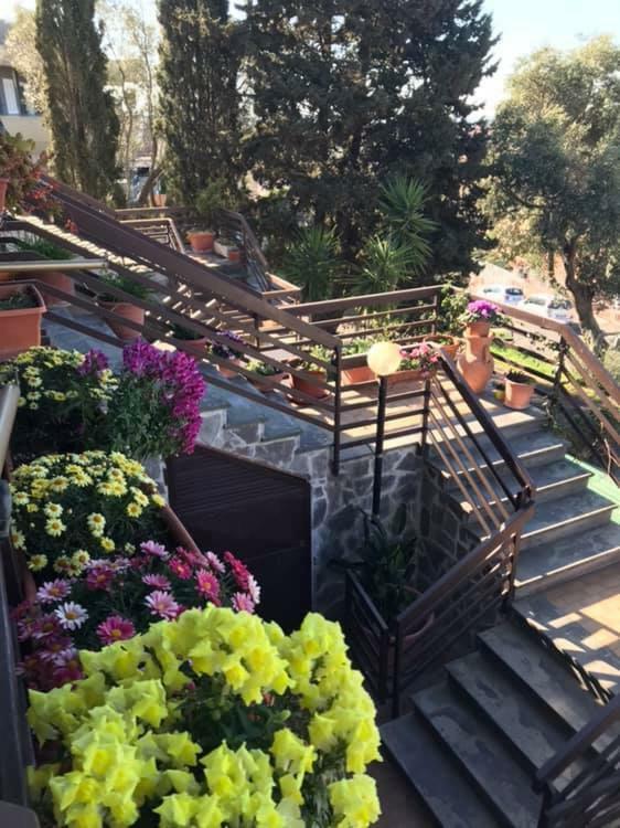 تاركوينيا B&B Nonna Luisa المظهر الخارجي الصورة